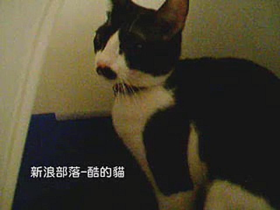 新-廁所偷拍