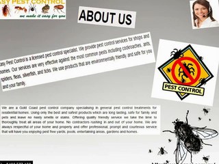 Safe Pest Control Service in Gold Coast - Protect Your Property