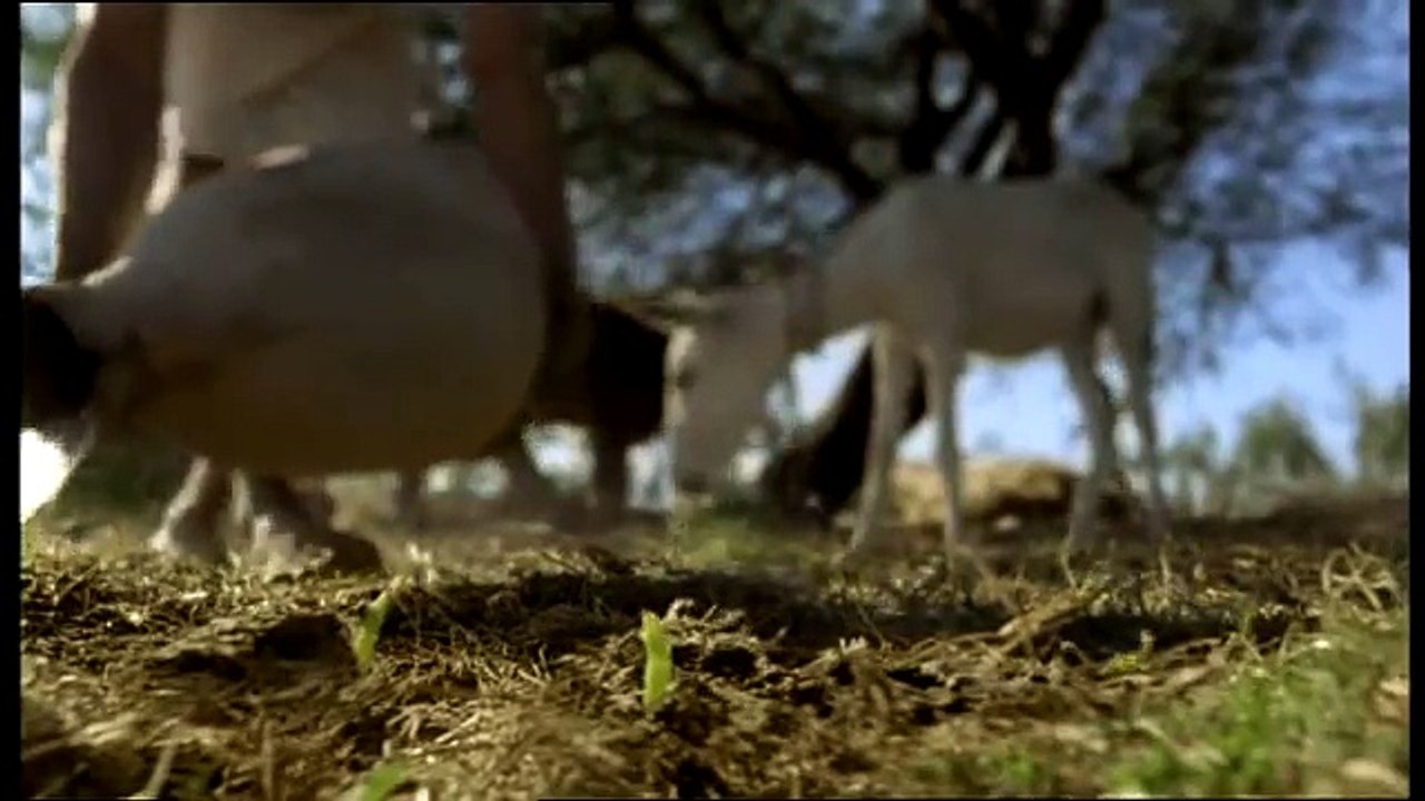 A Fantastic Trip to Ancient Egypt. And the Nile.