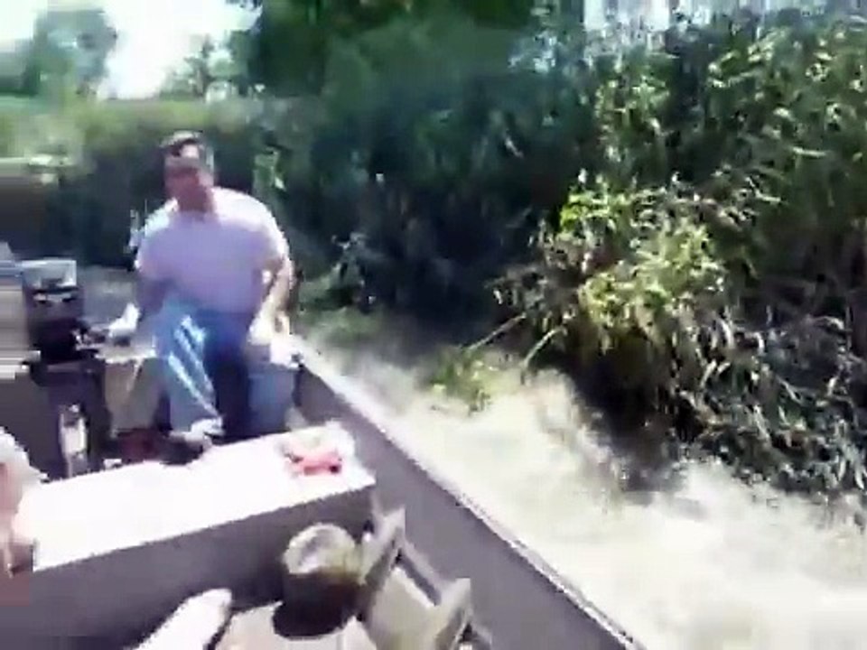 Peixes «atacam» barco