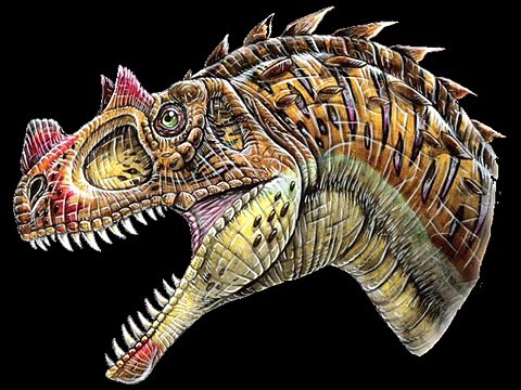 Tribute to Ceratosaurus nasicornis.