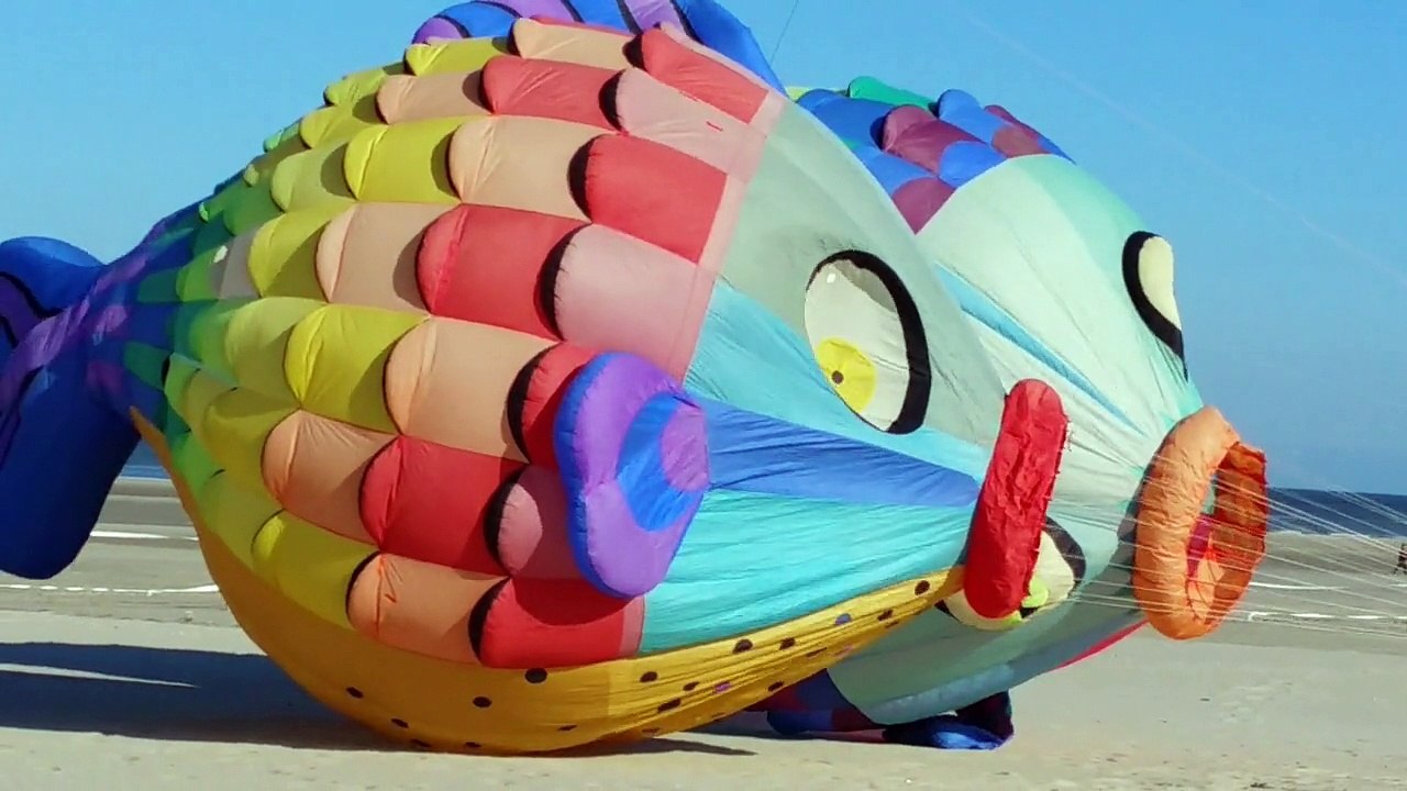 Une italienne à Berck pour les cerfs-volants