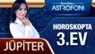 Jüpiter Horoskopta 3. Ev
