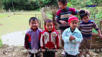 PuLuong-NgoLuong Nature Reserve Trekking Tour