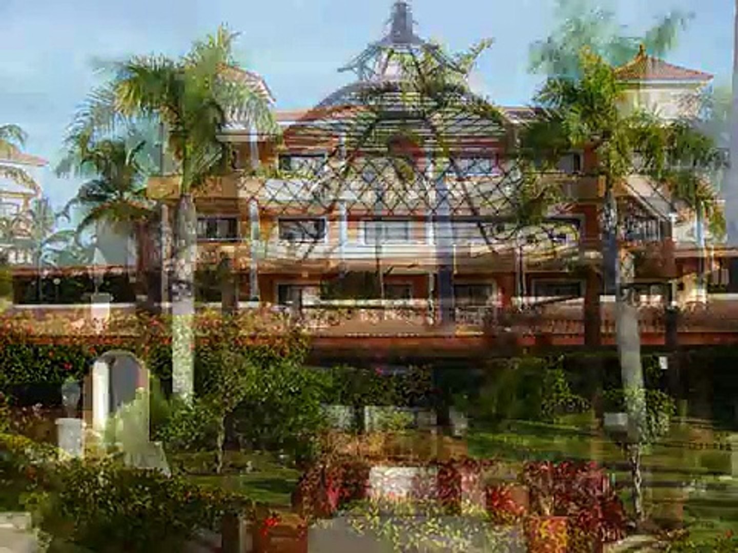 100 pics & vids of Bahia Principe, Punta Cana 2008