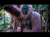 Patterson Gimlin Bigfoot Film- Bill Munns Analysis