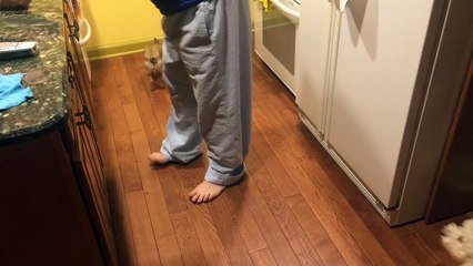 ¡Este perro odia comer solo!