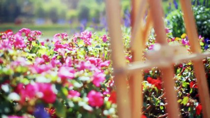 After Effects Project Files - Oil Painting Photo Gallery - VideoHive 8981934