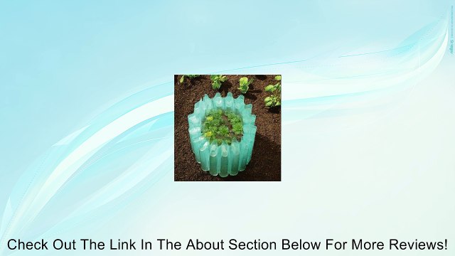 Wall Water,Plant Protectors,Frost Protectors,Season Extender,Season Starter Early Plant Protector, 48 Pack Review