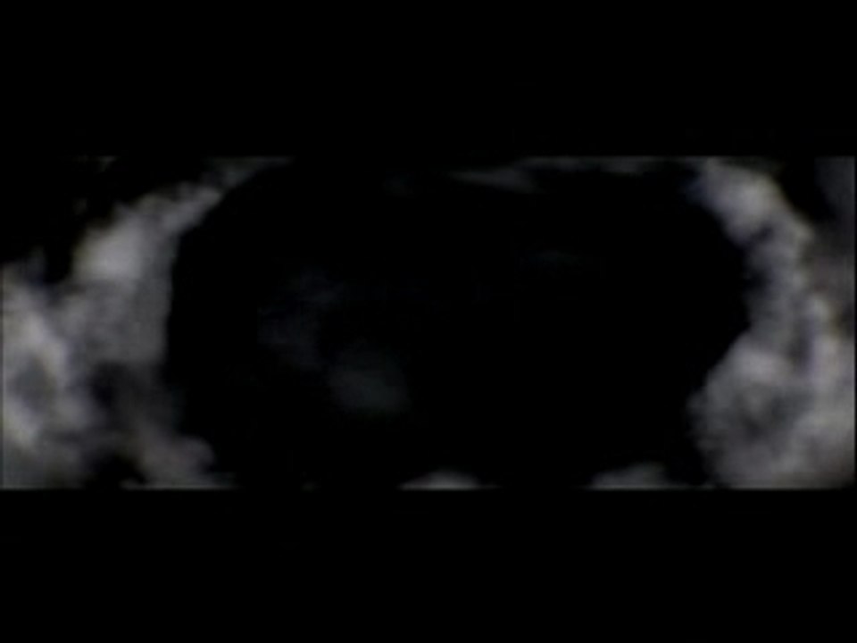 Venetian Snares - Szamar Madar