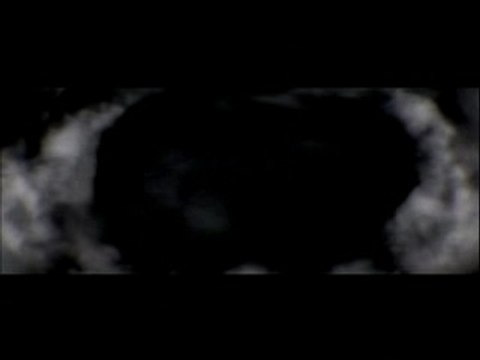 Venetian Snares - Szamar Madar