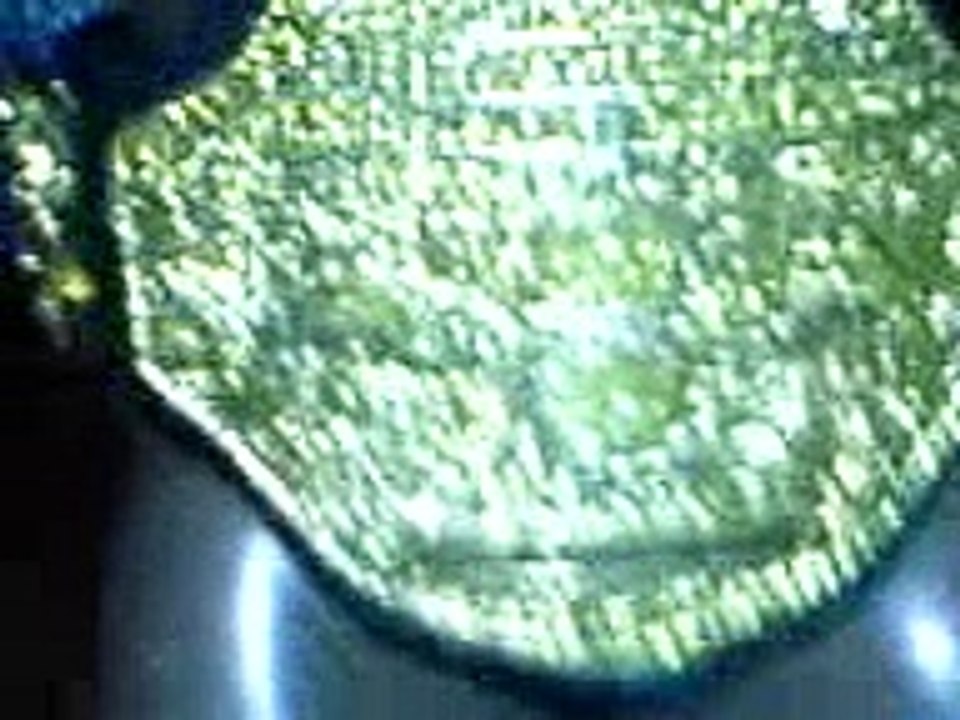 wCw - Chris Jericho Debut (Stop Motion Show)