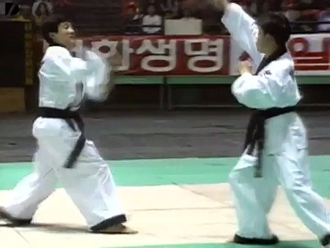 South Korean Martial Arts Demo