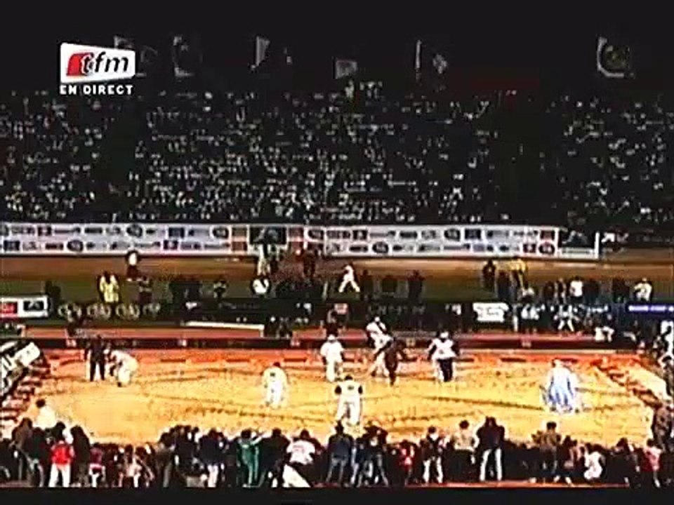 Entretien Avec Gris Bordeaux 3éme Tigre De Fass-1