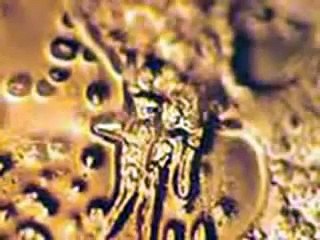 Positive & Negative Energy Effects on Water Crystals