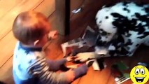 Babies Laughing at Dogs-Funny videos 2015