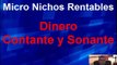 Micro Nichos Rentables Dinero Contante Y Sonante - Curso De Programa De Afiliados