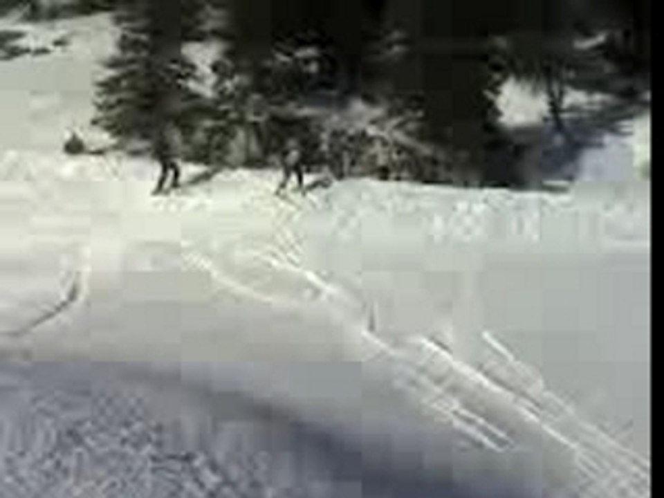 Le saut de nelnel