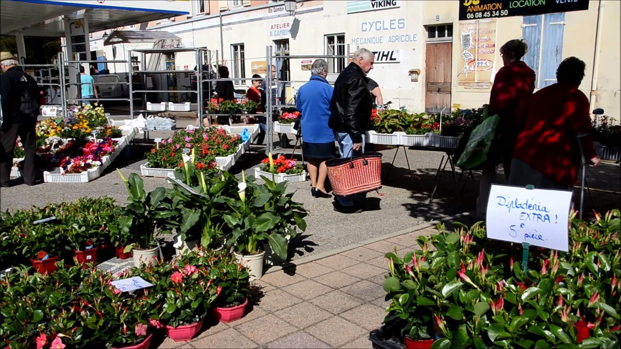 Pont-de-Vaux. Marché du 22 avril 2015.