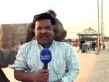 Funny monkey Pakistani reporter clip?syndication=228326
