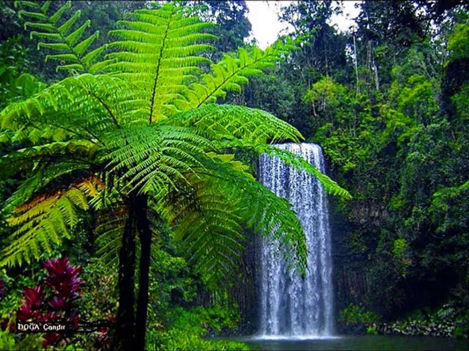 İmamdan Çok Güzel İlahi