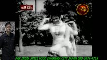 PUNJABI -noor jehan- kaisere dopatta_ basheera.HD スパイスハラルフード　岩倉市ジャパンJAPAN HALAL FOOD SPICE