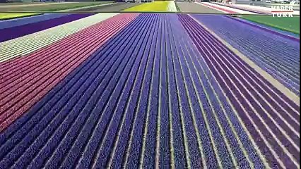 GÖRENLERİ BÜYÜLÜYOR!