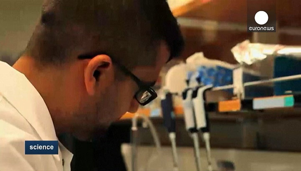 Ende der Tierversuche durch das 'Herz auf dem Chip'?