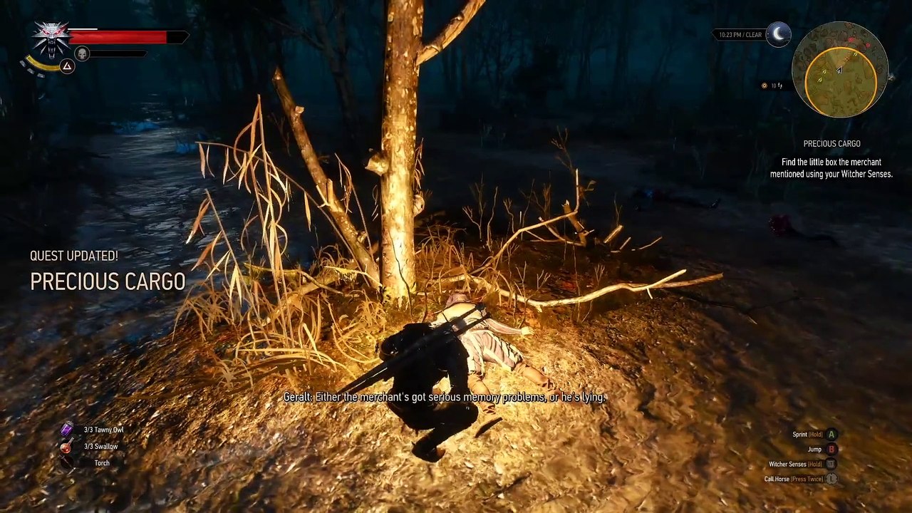 The Witcher 3 : Traque sauvage - Precious Cargo Quest