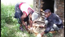 How to prevent and treat goat diseases, Imikhuhlane Yembuzi (Goat Diseases)