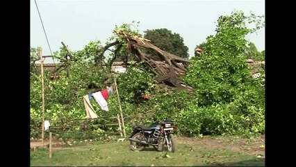 Storm in eastern India kills dozens