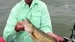 Green Bay Walleye Guide Trophy Walleye