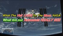 Classified: What The Hell Lives On The Moon NASA, What Did Our Astronauts Really see