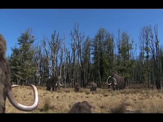 EBS Global Documentary_The Mammoth, Titan of the Ice Age Spot