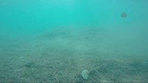 Bodrum'da Deniz Dibi Temizliği Yapıldı (2)