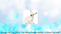 Schleich Figurine White Hare Rabbit Model Review