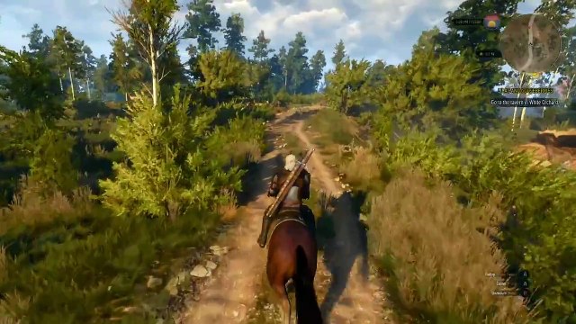 The Witcher 3 - Gameplay Quest
