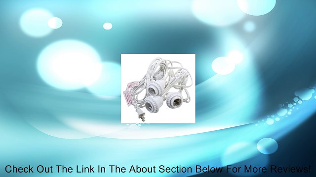 White Triple Socket Cord Kit for Lanterns (UL Listed) Review