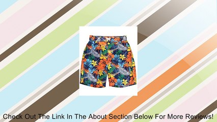 Rugged Bear Little Boys' Toddler "Surfer's Paradise" Boardshorts Review