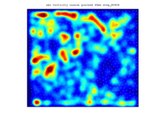 Absolute value of the vorticity field for 2D sheared ganular medium (coarse grained)