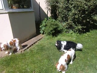 Au jardin après le shampoing de Chouane et Mielle