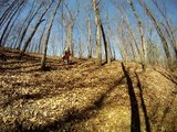 randy hillclimb xr 650 gopro