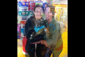 Animal Adoption & Pet Rescue in Pasadena, CA