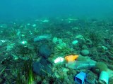 Un plongeur filme la pollution des fonds marins de Cannes