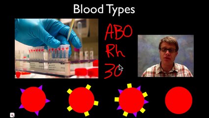 Blood Types