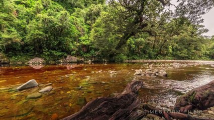 AMPLITUDE | NEW ZEALAND 4K/UHD