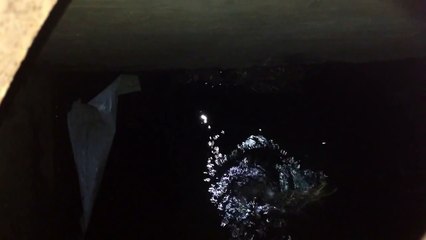 Storm Sewer Fishing: Under the Lid