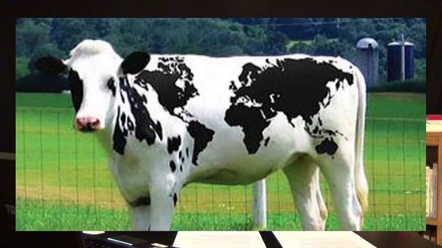 Creationists: God Exists, Because Cows Exist