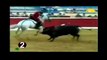 Top 3 Bull Attack Videos - Most Shocking Bull Attacks