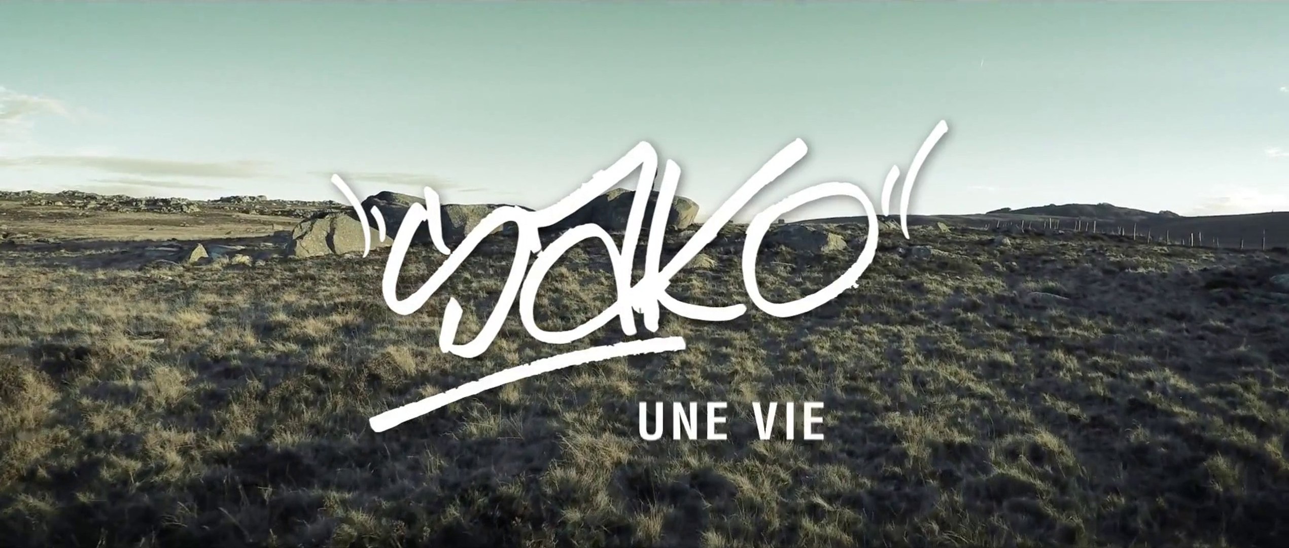 Sako - Une Vie (clip officiel) // Chiens de Paille // - Vidéo Dailymotion